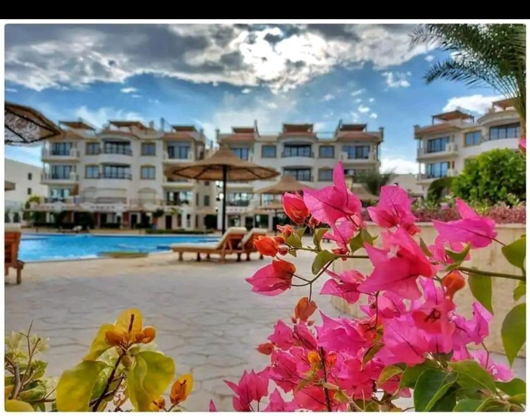 Sharm Hillsアパートメント エクステリア 写真